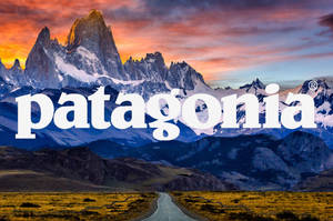 Patagonia Logo Icy Mountains Wallpaper