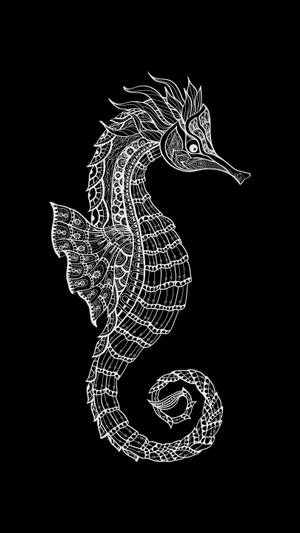 Patterned Seahorse Hd Tattoo Wallpaper