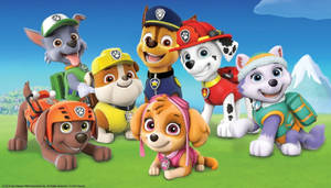 Paw Patrol Rescue Dogs Wallpaper