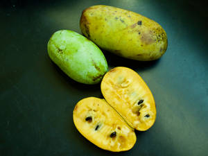 Pawpaw Fruit Aesthetic Photography Wallpaper