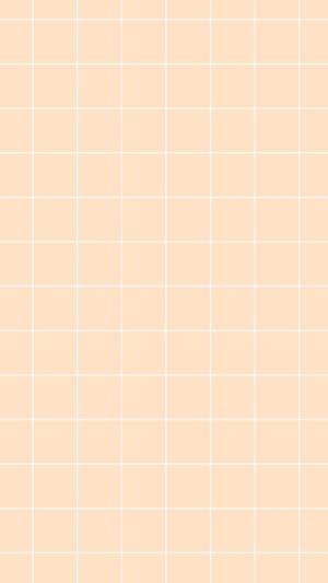 Peach Aesthetic Grid Wallpaper
