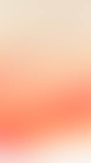 Peach And White Gradient Wallpaper