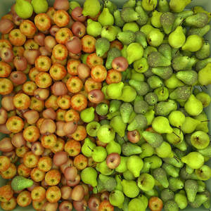 Pears And Apples Wallpaper