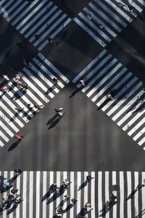 Pedestrian Lanes In A Street Wallpaper