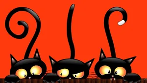 Peeking Out Cartoon Halloween Cats Wallpaper