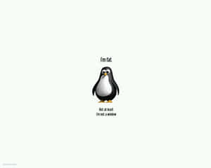 Penguin Humor_ Funny Quote.jpg Wallpaper