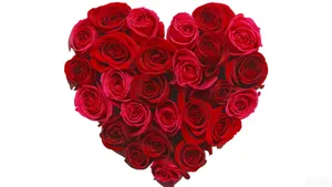 Perfect Rose Flower Heart Wallpaper