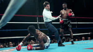 Pernell Whitaker Opponent Knock Down Wallpaper