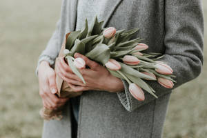 Person Holding Bouquet Of Tulip Flowers Wallpaper