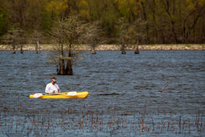 Person Riding Yellow Kayak On River During Daytime Wallpaper