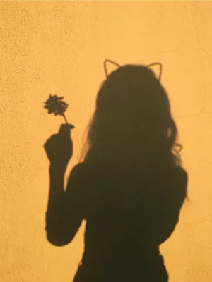 Pfp Aesthetic Girl With Cat Ears And Rose Wallpaper