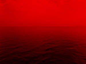 Photo Of Ocean With Red Lights Wallpaper
