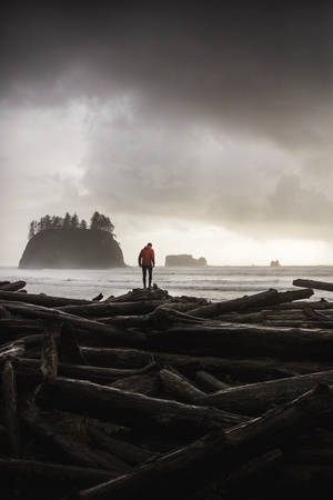 Photo Of Person Wearing Orange Sweater Standing On Logs Wallpaper