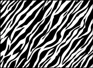 Photo Wild And Fabulous Wallpaper