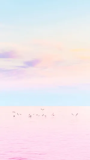 Photographed For Pink Girl Iphone Screens Wallpaper