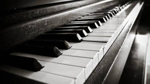 Piano Old Case Monochrome Wallpaper