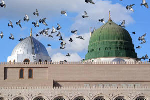 Pigeons Above Green Dome Madina Wallpaper