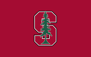 Pine Tree On Stanford University Logo Wallpaper