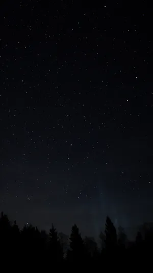 Pine Trees Black Aesthetic Tumblr Iphone Wallpaper