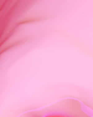Pink Abstract Background With A Pink Flower Wallpaper