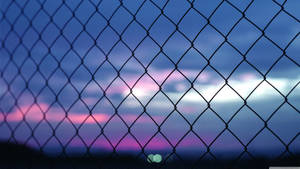 Pink Aesthetic Wire Mesh Fence Wallpaper