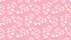 Pink And White Flower Pc Wallpaper