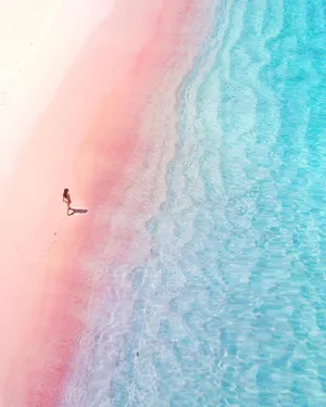 Pink Beach In Komodo Island Indonesia Wallpaper
