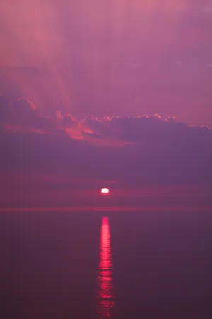 Pink Beach Sunset With The Sun's Reflection Wallpaper