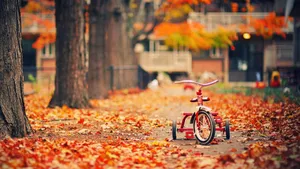 Pink Bike Tumblr Autumn Desktop Wallpaper