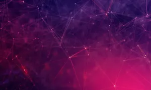 Pink Black Plain Lights Wallpaper