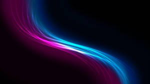 Pink Blue Curve Lines Wallpaper