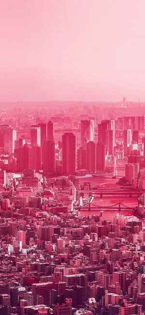 Pink City View Phone Wallpaper