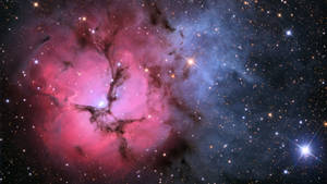 Pink Cosmic Dust Galaxy Wallpaper