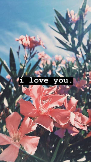 Pink Flower I Love You Wallpaper