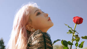 Pink-haired Red Velvet Yeri Wallpaper