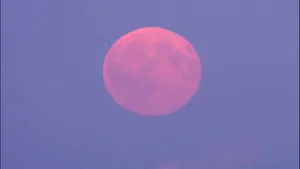 Pink Moon High In The Sky Wallpaper