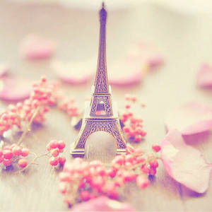 Pink Paris Ornament Wallpaper