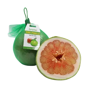 Pink Pomelo Cross-section Wallpaper