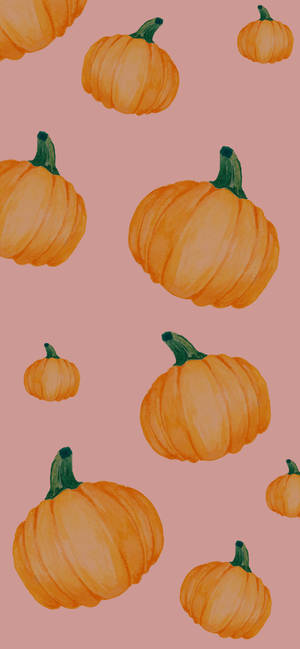 Pink Pumpkins Fall Halloween Baxkground Wallpaper