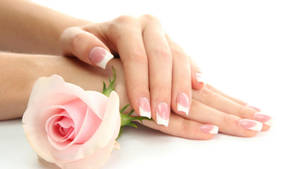 Pink Rose Nail Shot Wallpaper