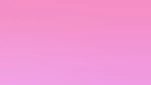 Pink Solid Color Flamingo Wallpaper
