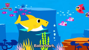 Pinkfong Baby Shark Swim Wallpaper