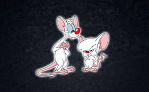 Pinky And The Brain Digital Art Wallpaper