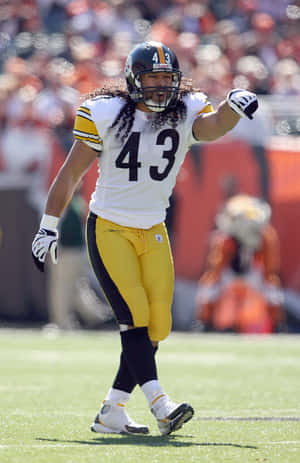 Pittsburgh Steelers Linebacker Troy Polamalu Wallpaper