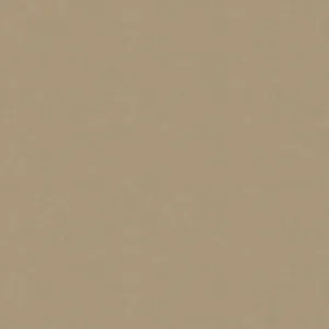 Plain Beige 1000 X 1000 Wallpaper