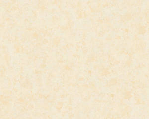 Plain Beige 1000 X 800 Wallpaper