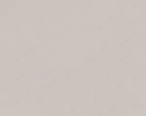 Plain Beige 1000 X 800 Wallpaper