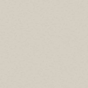 Plain Beige 1440 X 1440 Wallpaper