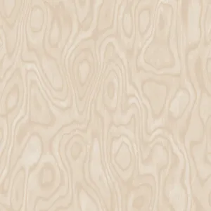 Plain Beige 1500 X 1500 Wallpaper