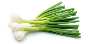 Plain Green Onion Display Wallpaper